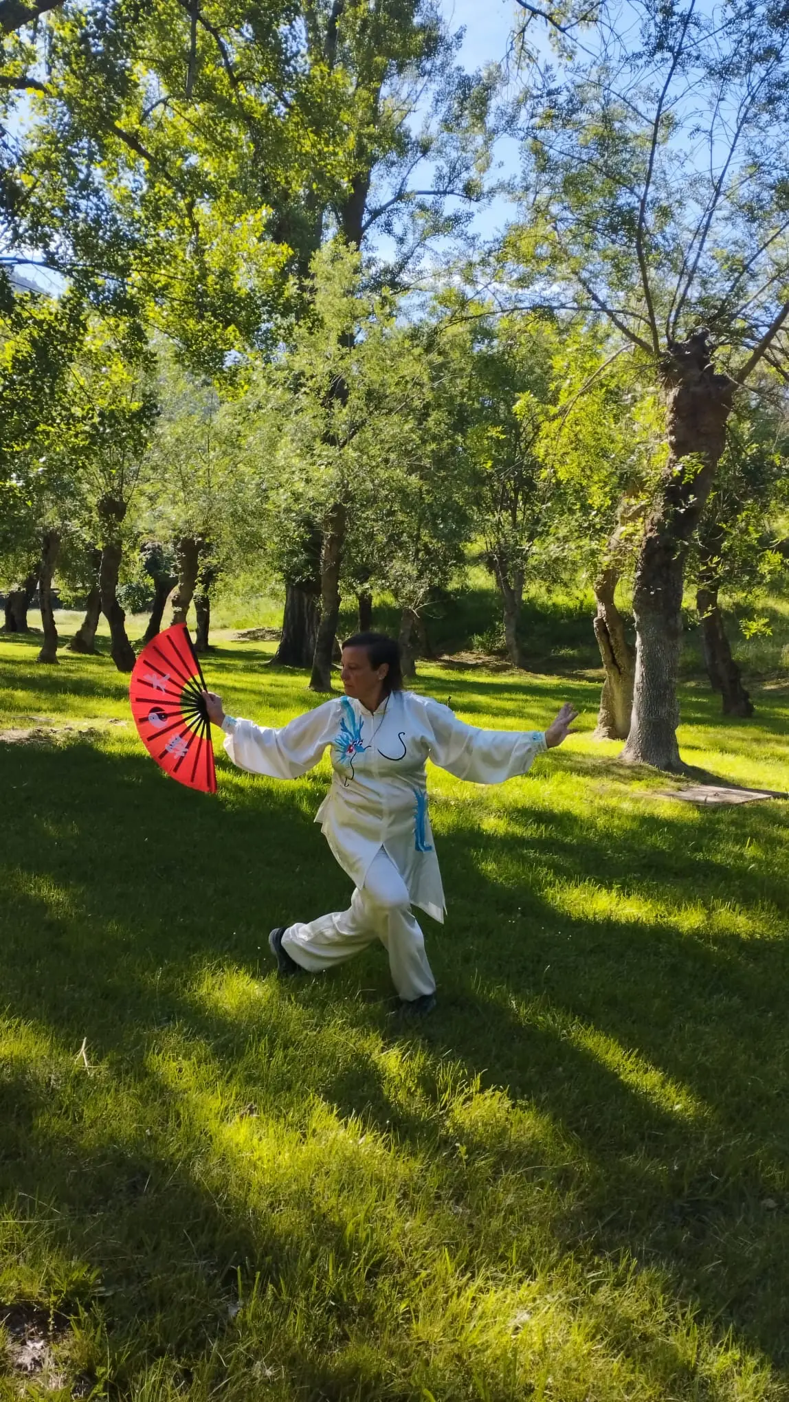 Maite García Tai Chi con abanico, postura de parque